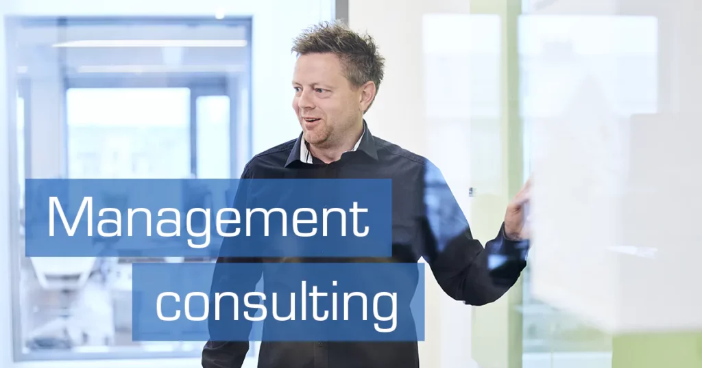 Michael Møller-Jensen om Management Consulting