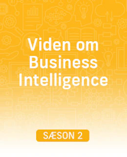 Viden om Business Intelligence - Sæson 2