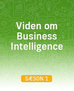 Viden om Business Intelligence - Sæson 1