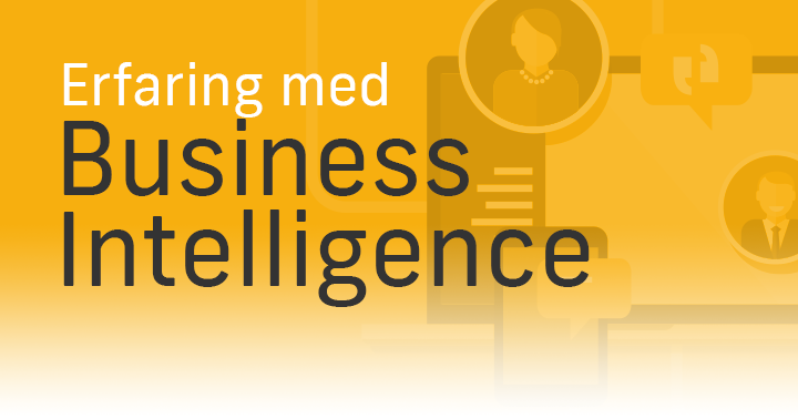 Erfaringer med Business Intelligence