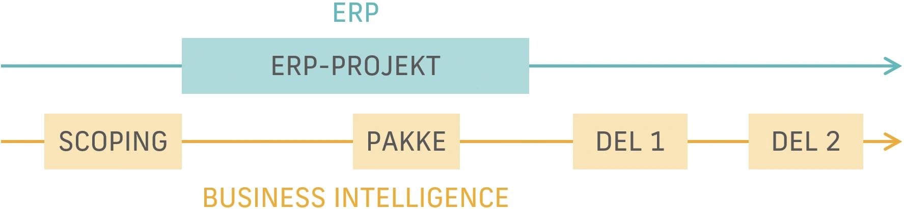 Standard rapport-pakke til Business Intelligence-projekt