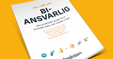 BI-ansvarlig for Power BI
