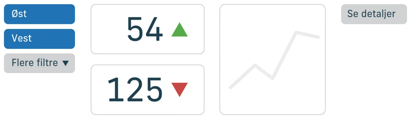 Rapport med få filtre og forudvalgte standardindstillinger